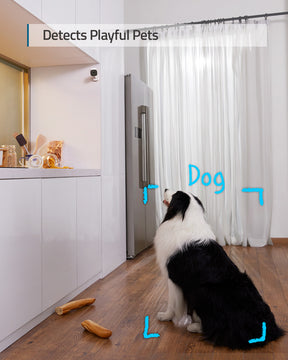 eufy Indoor Cam 2K